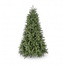 Christmas Trees And Lights: Portfolio