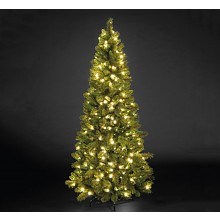Christmas Trees And Lights: Portfolio